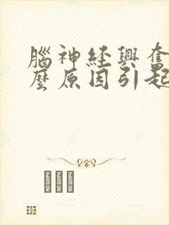 脑神经兴奋是什么原因引起的封面