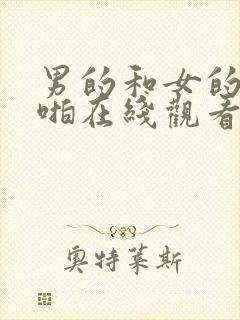 男的和女的啪啪啪在线观看