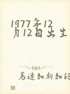 1977年12月12日出生的命运