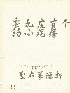 睾丸皮有个硬硬的小疙瘩