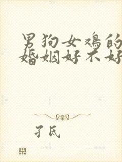 男狗女鸡的属相婚姻好不好