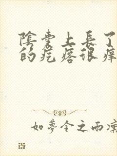 阴囊上长了红色的疙瘩很痒怎么回事