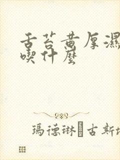 舌苔黄厚湿气重吃什么