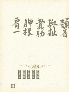 肩胛骨与颈椎有一根筋扯着疼封面