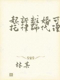 起诉离婚可以委托律师代理封面