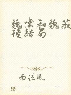 魏伟和魏薇的最后结局封面