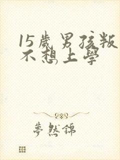 15岁男孩叛逆不想上学