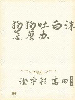 狗狗吐白沫拉稀怎么办