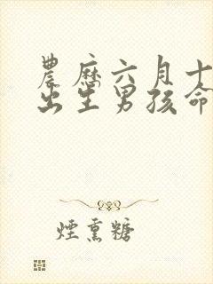 农历六月十一日出生男孩命运