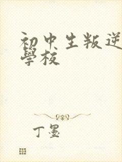 初中生叛逆管教学校