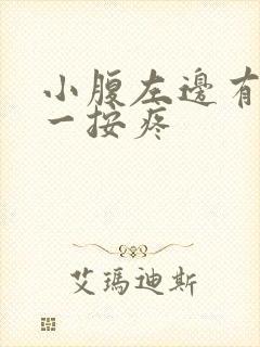 小腹左边有硬块一按疼