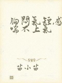 胸闷气短,感觉喘不上气