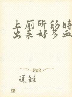 上厕所的时候拉出来好多血封面