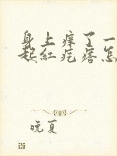 身上痒了一抓就起红疙瘩怎么回事封面