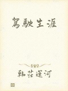 驾驶生涯