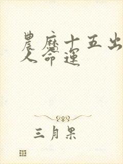 农历十五出生的人命运