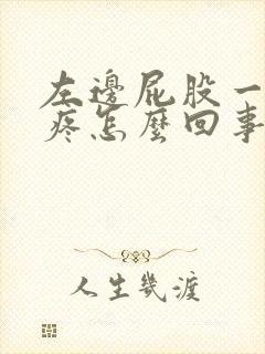 左边屁股一坐就疼怎么回事封面