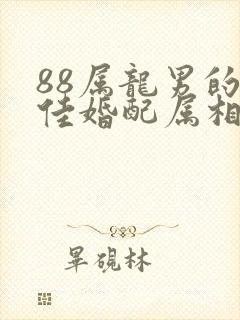 88属龙男的最佳婚配属相封面