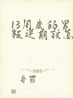 13周岁的男孩叛逆期该怎么办封面