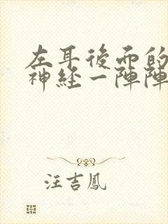 左耳后面的头部神经一阵阵疼