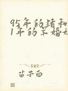 95年的猪和91年的羊婚姻怎么样封面