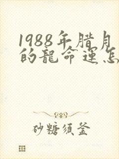 1988年腊月的龙命运怎么样