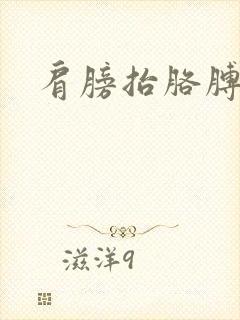 肩膀抬胳膊就疼