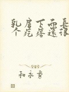 乳房下面长了一个疙瘩还很硬是怎么回事