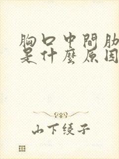 胸口中间肋骨疼是什么原因