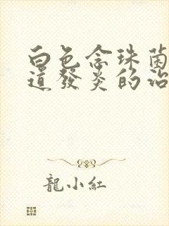 白色念珠菌性阴道发炎的治疗