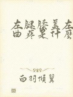 左腿膝盖左侧弯曲疼是什么原因封面