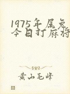 1975年属兔今日打麻将的方位封面