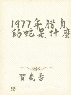 1977年腊月的蛇是什么命封面