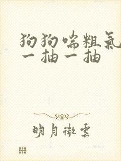 狗狗喘粗气肚子一抽一抽