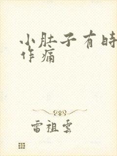 小肚子有时隐隐作痛封面