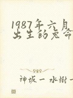 1987年六月出生的兔命运如何