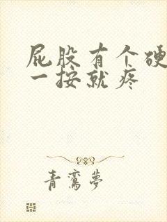 屁股有个硬疙瘩一按就疼