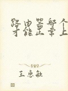 路由器哪个灯亮才能正常上网