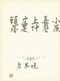 头皮上长小红疙瘩是什么原因