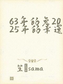 63年的兔2025年的幸运颜色?