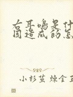 右耳鸣是什么原因造成的怎么解决封面