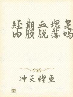 经期血块是子宫内膜脱落吗封面