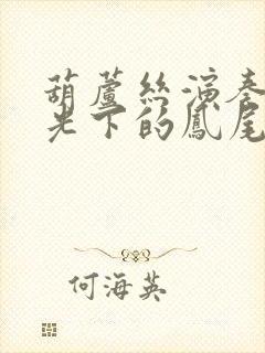 葫芦丝演奏《月光下的凤尾竹》教学视频