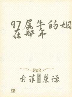 97属牛的姻缘在哪年
