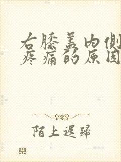 右膝盖内侧突然疼痛的原因