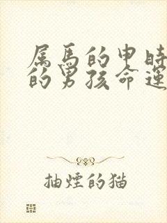 属马的申时出生的男孩命运怎么样