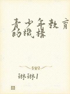 青少年教育叛逆的机构