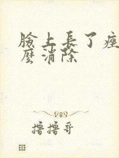 脸上长了痤疮怎么消除