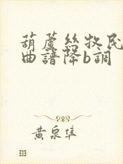 葫芦丝牧民新歌曲谱降b调封面