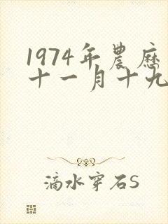 1974年农历十一月十九日出生命运?